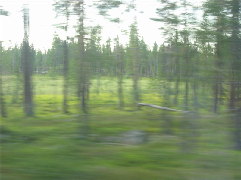 Sweden 2006-04 133